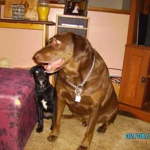 Meet your Posher, Karen